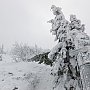 Skitourenwettkampf „Arber- Skitour“ 2014