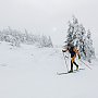 Skitourenwettkampf „Arber- Skitour“ 2014