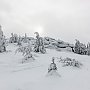 Skitourenwettkampf „Arber- Skitour“ 2014